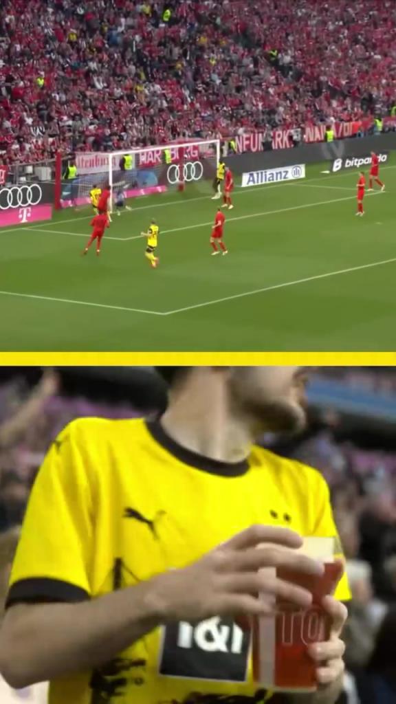 勇者無懼！這是真多特球迷！在拜仁球迷區(qū)一個人肆意慶祝！